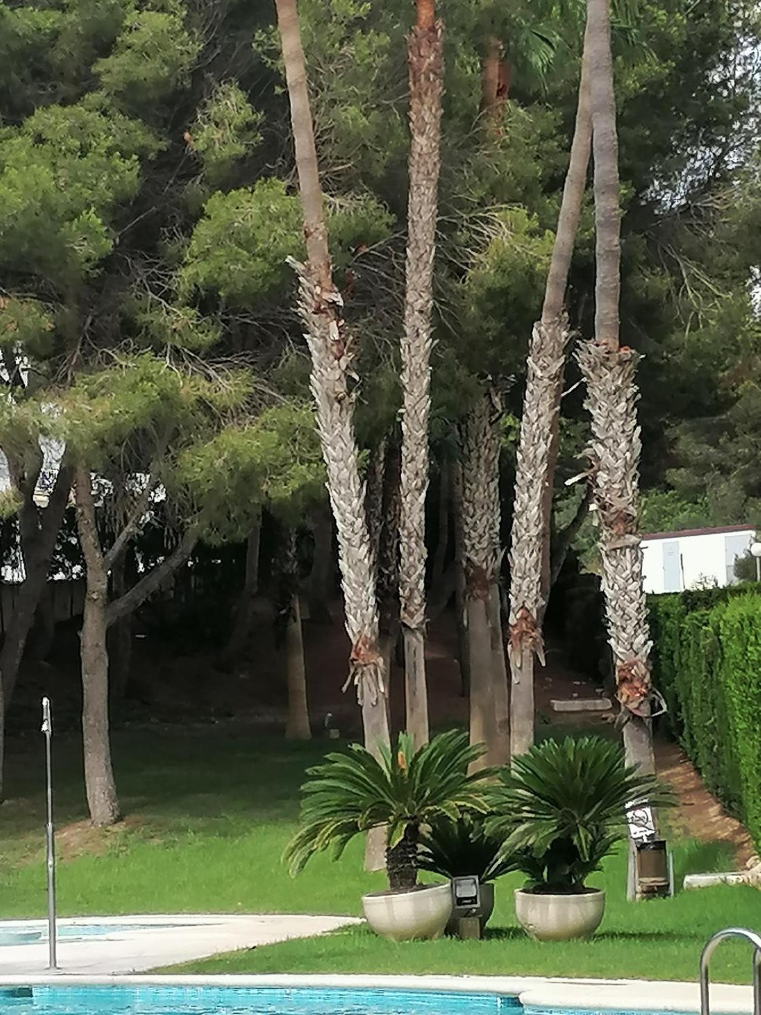 Campoamor Seaview Exterior foto